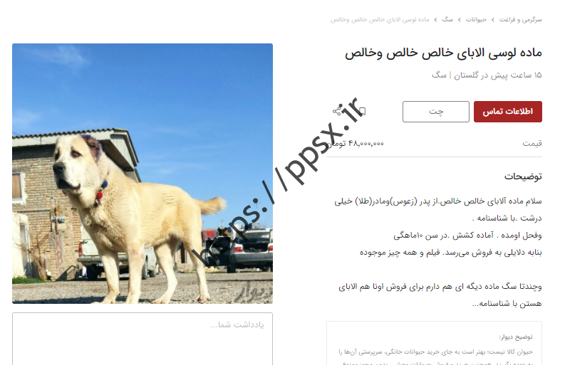 چه هدیه فوق العاده ای!